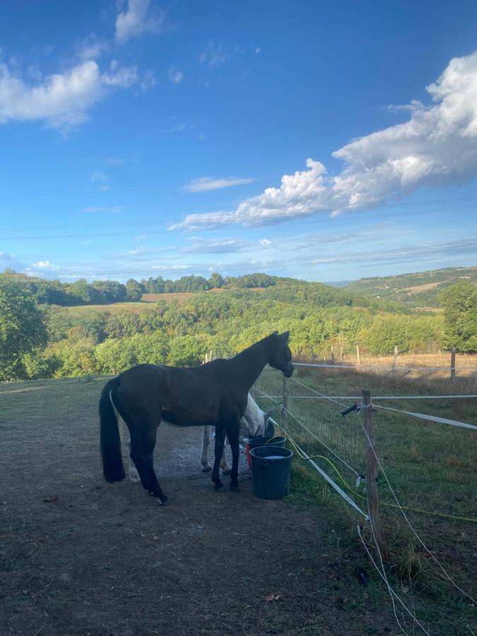Chez Sophie - Gite Et Gite Equestre Clermont-Dessous Exterior photo